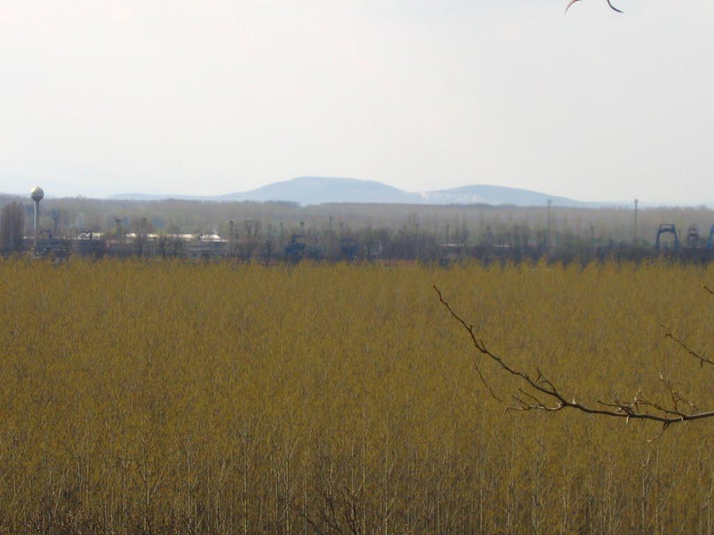 Соломоново з panoramio.com (ч.2) - Соломоново