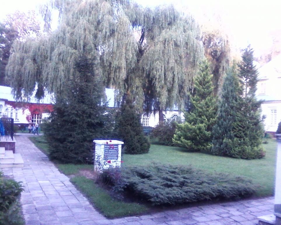Перешпа з panoramio.com - Перешпа