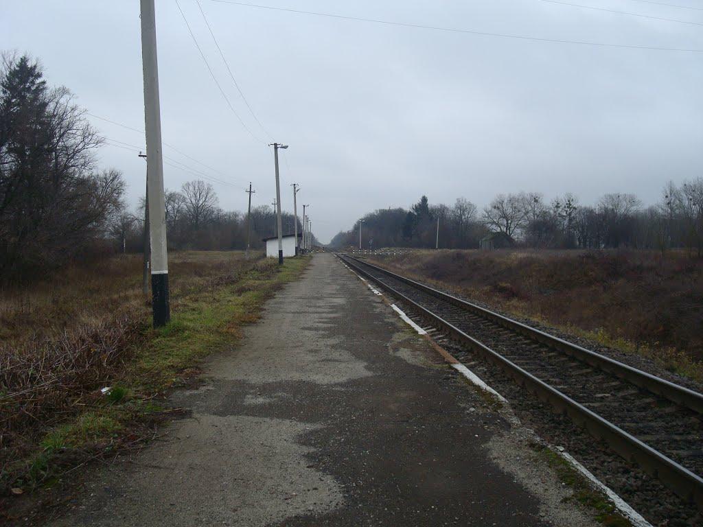 Кузьмин з panoramio.com - Кузьмин