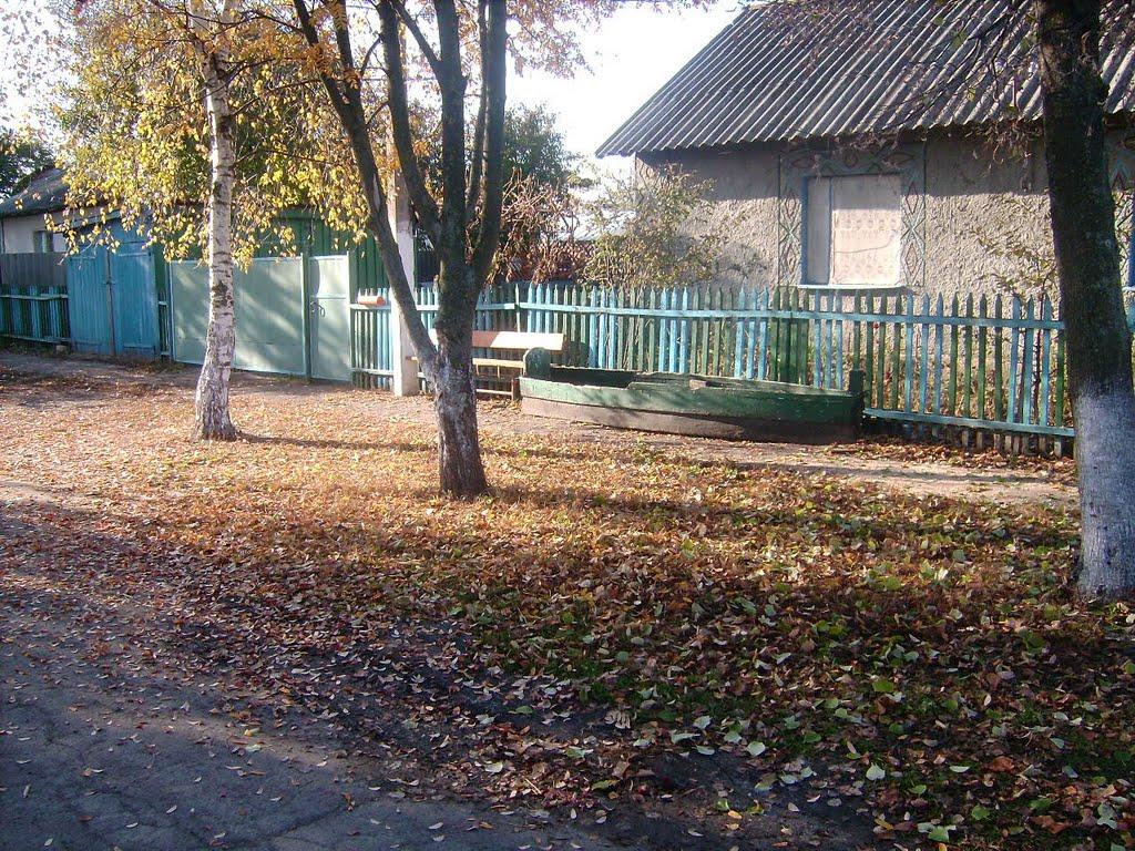 Середівка з panoramio.com - Середівка