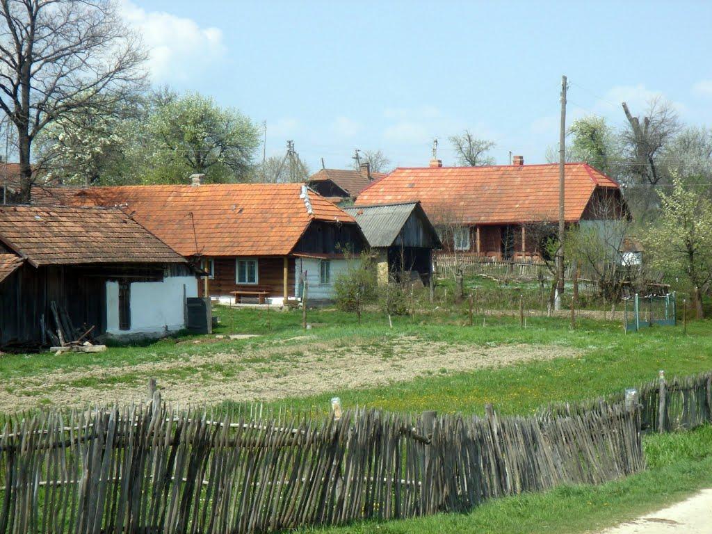 Брониця з panoramio.com - Bronytsya