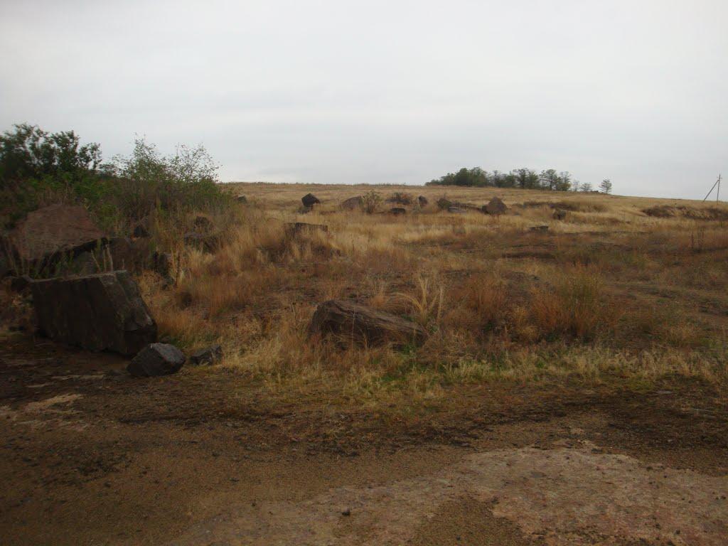 Новоселівка Друга з panoramio.com - Новоселівка Друга