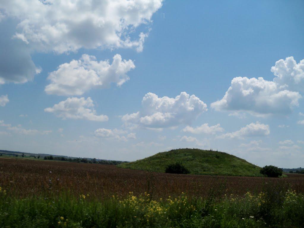 Сурсько-Михайлівка з panoramio.com - Сурсько-Михайлівка