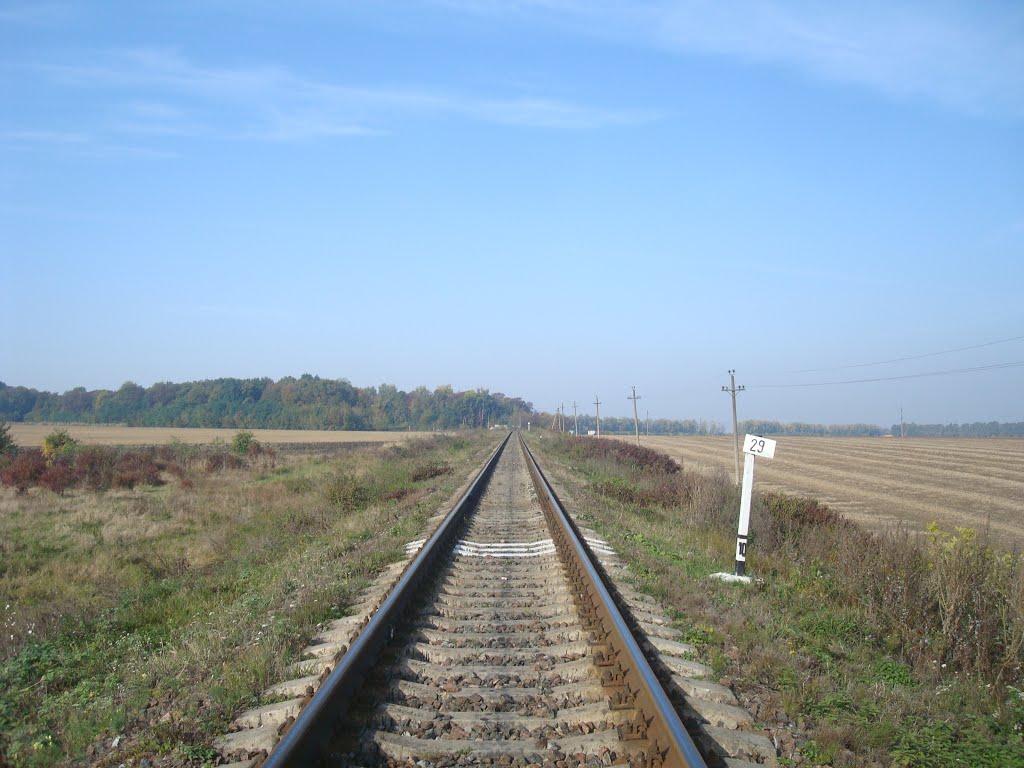 Лісоводи з panoramio.com - Лесоводы