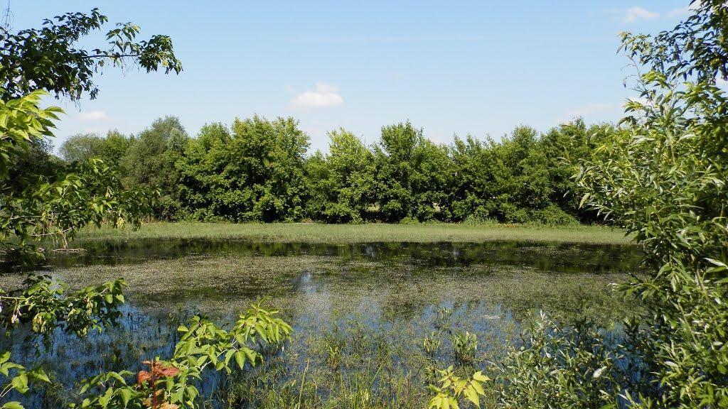 Пацали з panoramio.com - Пацали