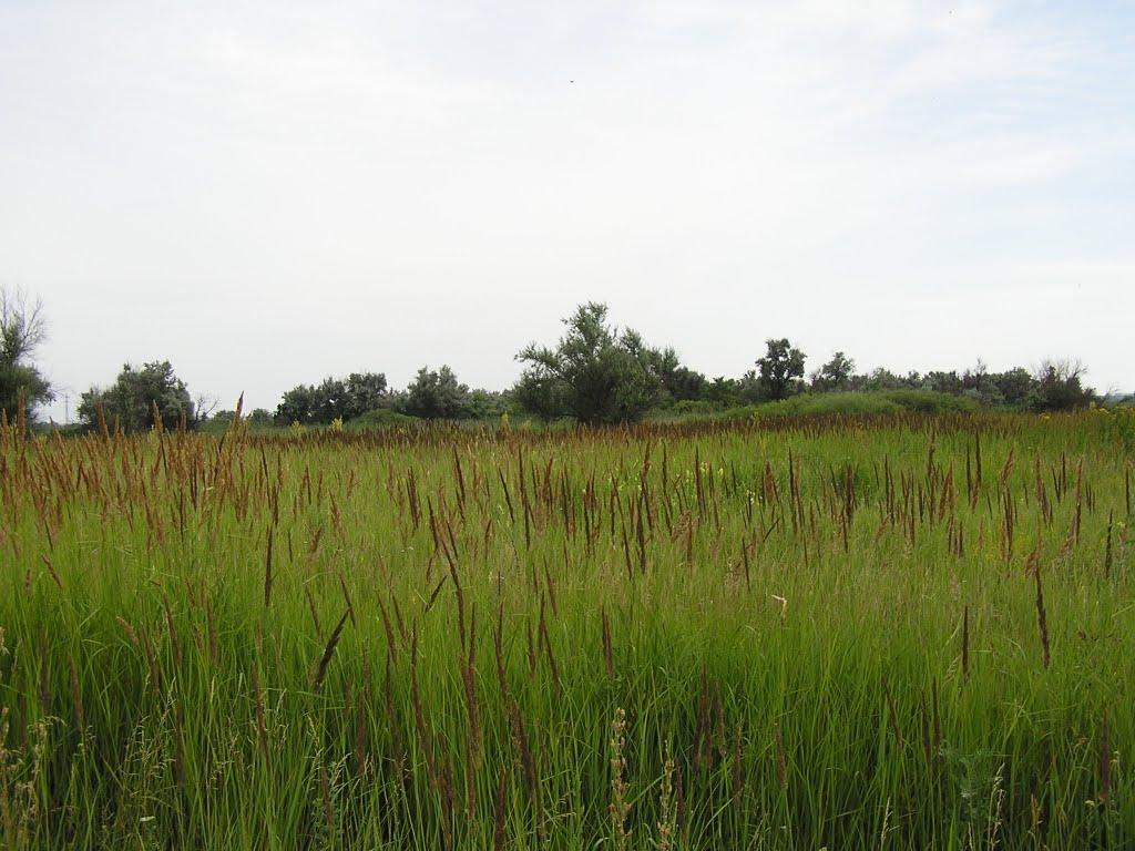 Ювілейне з panoramio.com - Yuvileyne