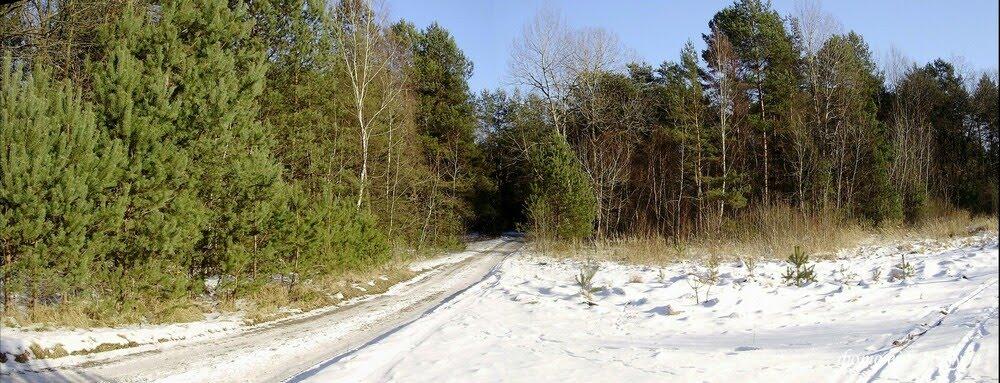 Ліски з panoramio.com - Лески