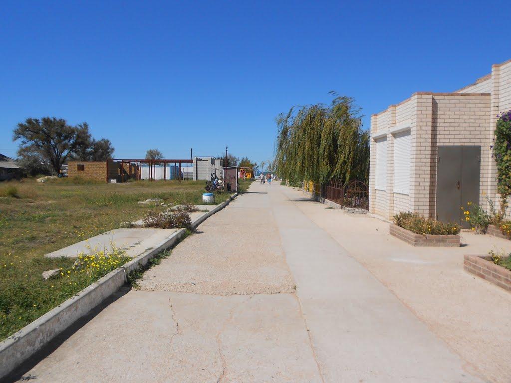 Щолкіне з panoramio.com - Щолкіне