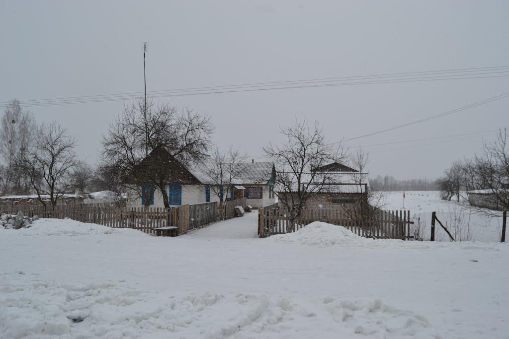 Берегове з panoramio.com - Береговое