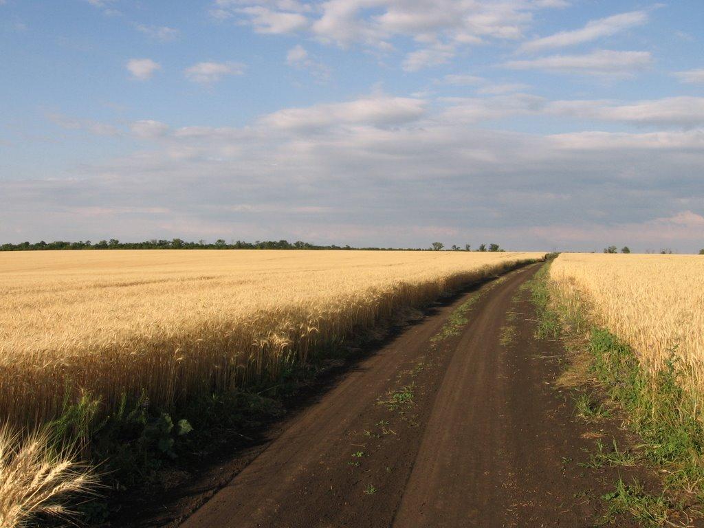 Манцівка з panoramio.com - Манцевка