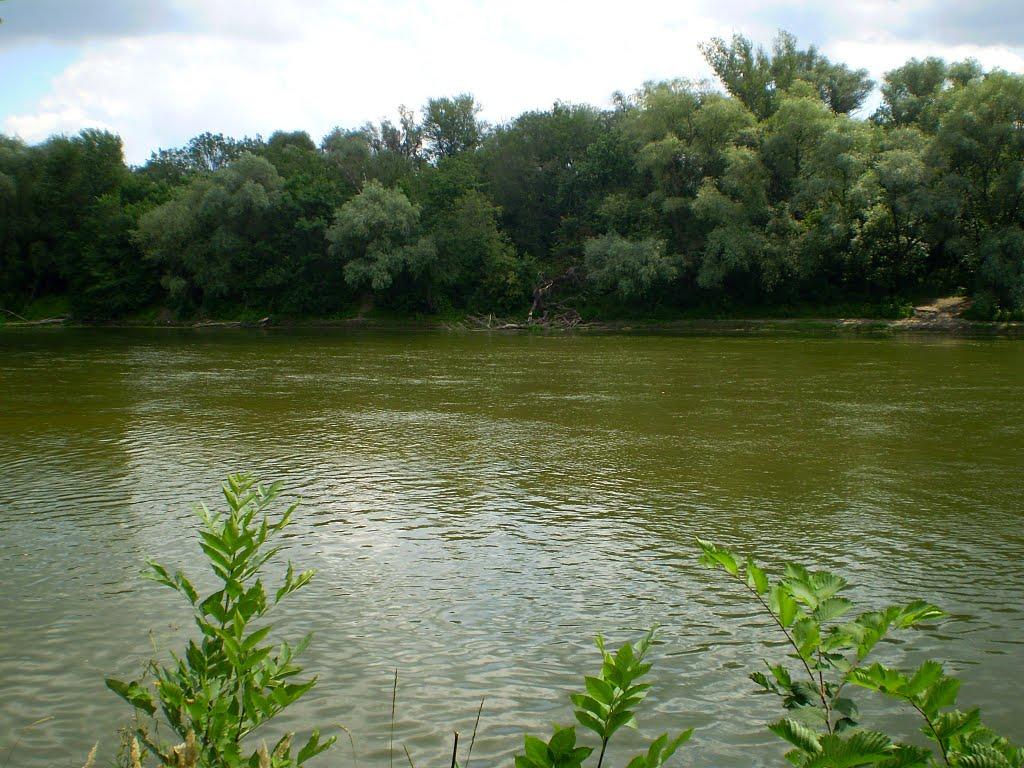 Станично-Луганське з panoramio.com (ч.2) - Станично-Луганское