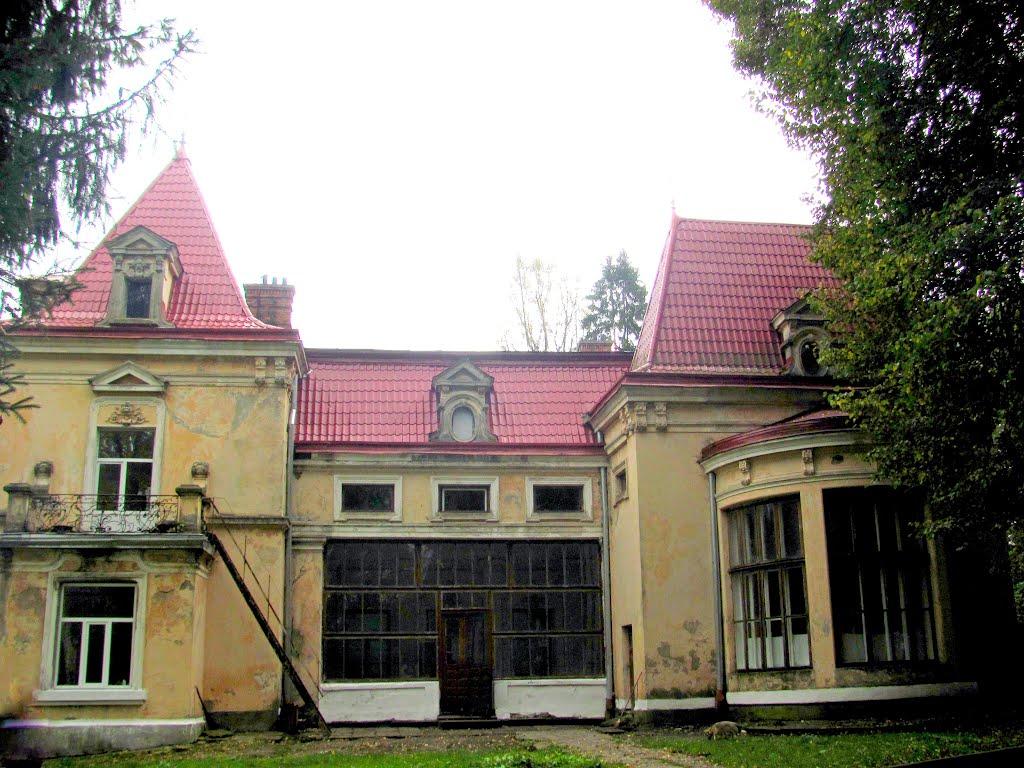 Малинів з panoramio.com - Малинів