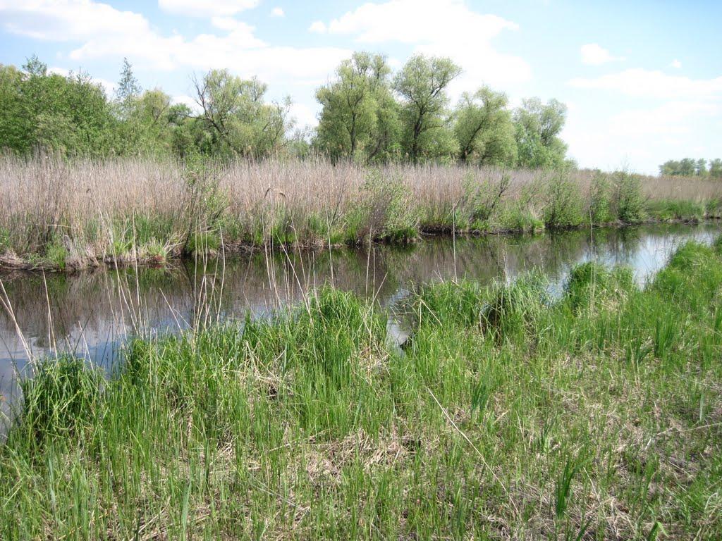 Гола Пристань з panoramio.com - Голая Пристань
