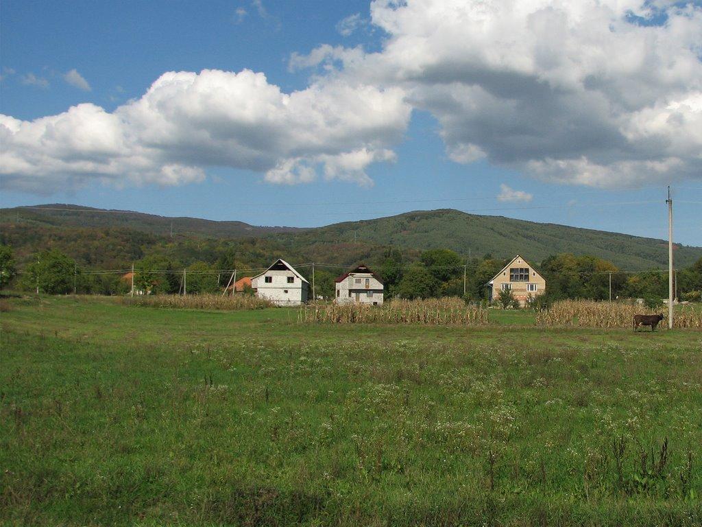 Ільниця з panoramio.com - Ільниця