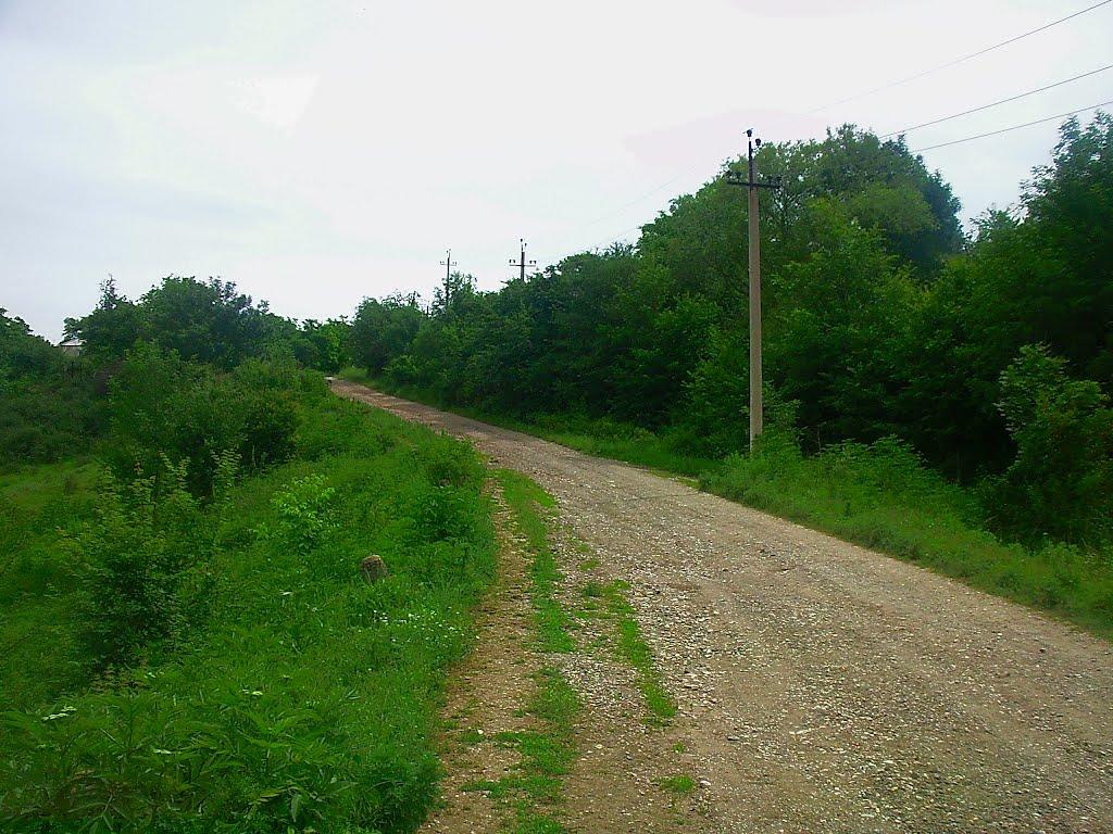 Краснолісся з panoramio.com - Краснолісся