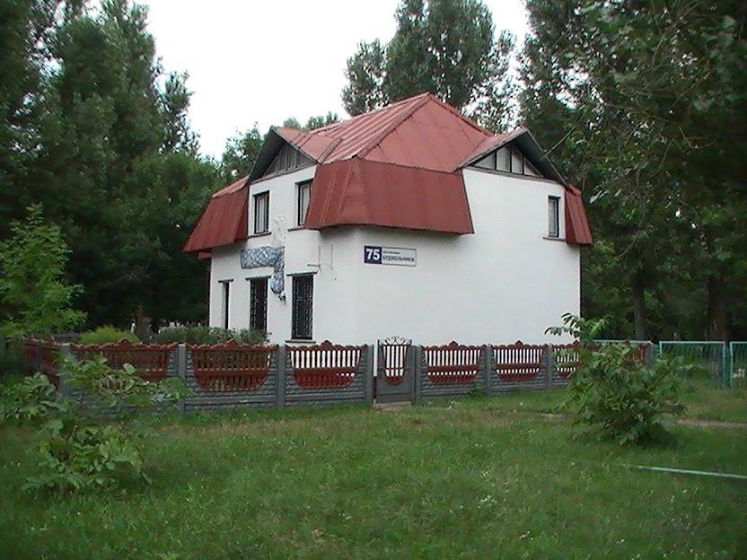 Кузнецовськ з panoramio.com - Varash