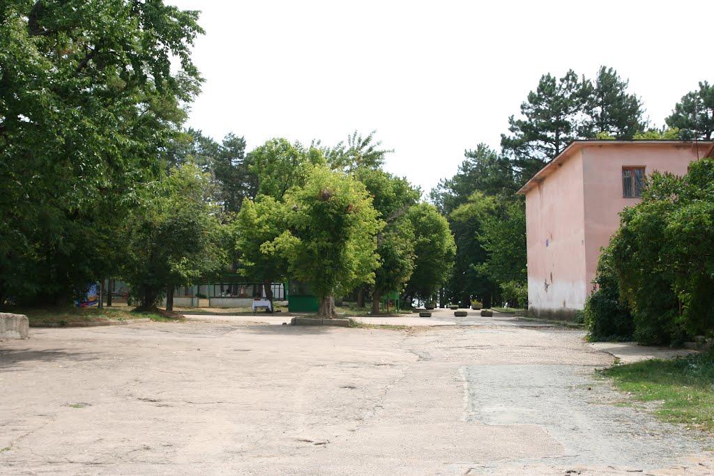 Научний з panoramio.com - Научный