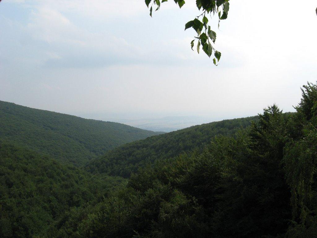 Підгірне з panoramio.com - Підгірне