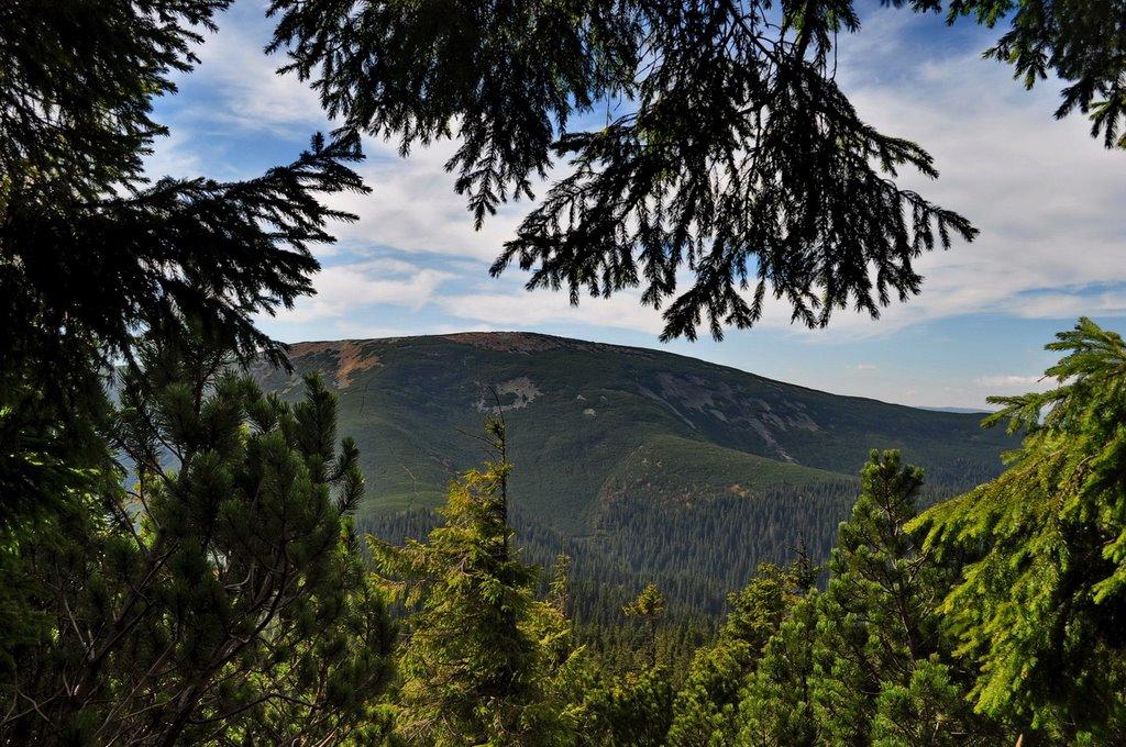 Осмолода з panoramio.com (ч.2) - Осмолода