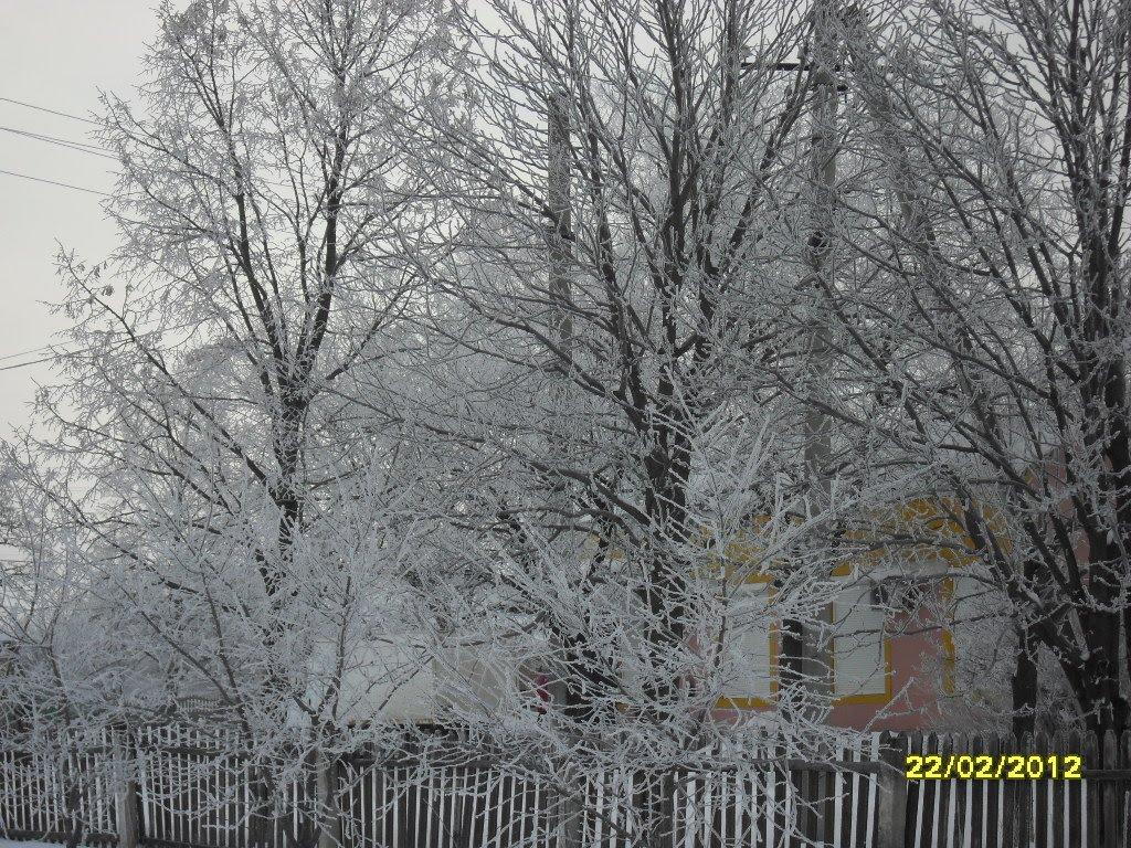 Аджамка з panoramio.com - Аджамка