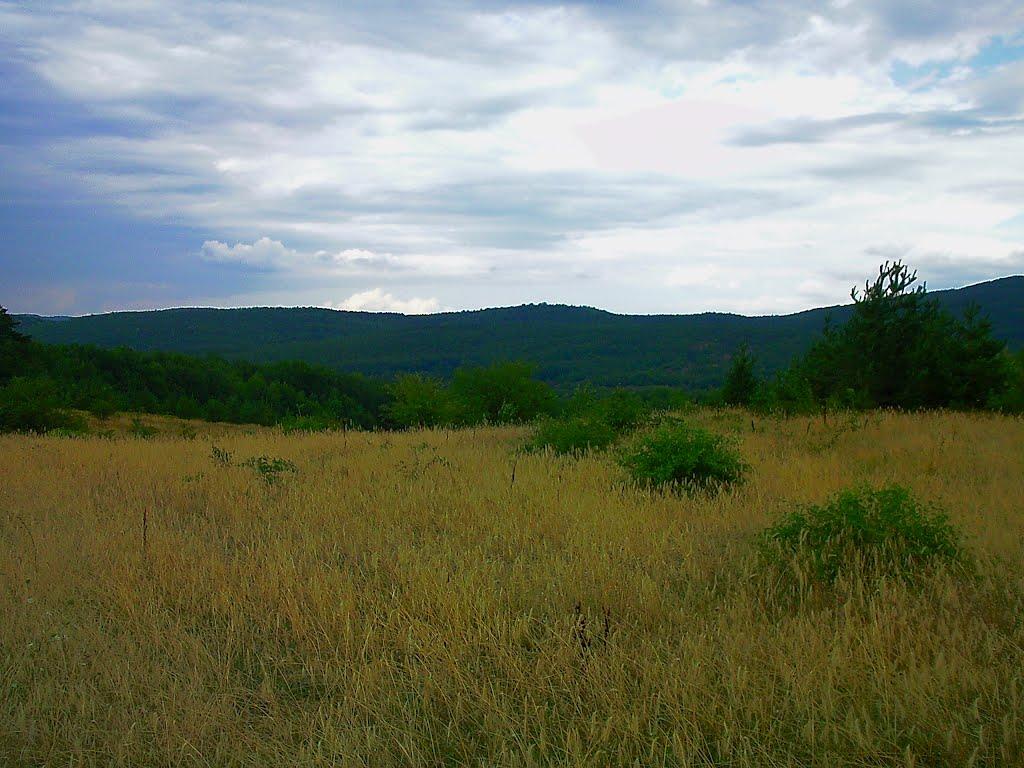 Щасливе з panoramio.com - Счастливое