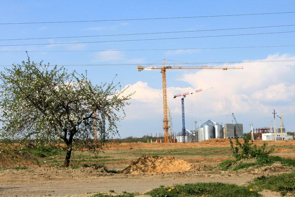 Ладижинське з panoramio.com - Ладижинське