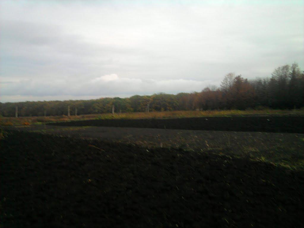 Сєверне з panoramio.com - Сєверне