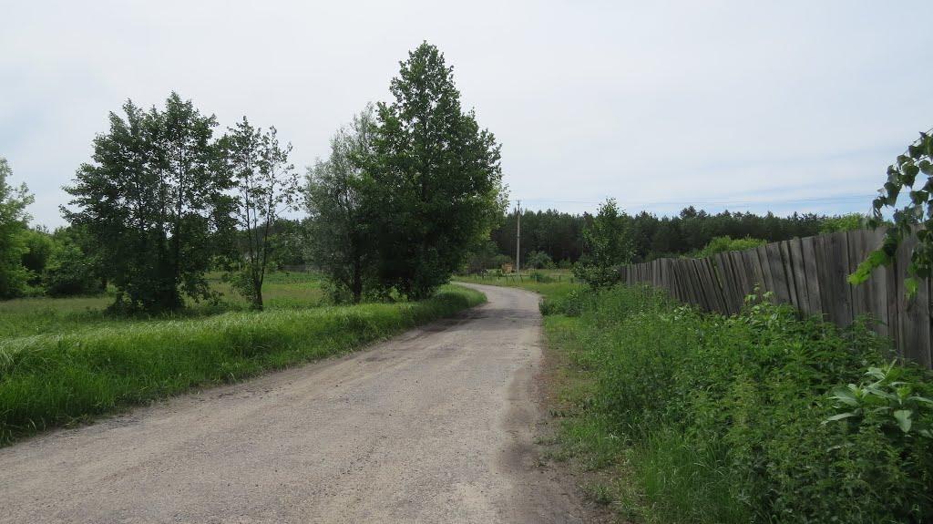 Софіївка з panoramio.com - Софиевка