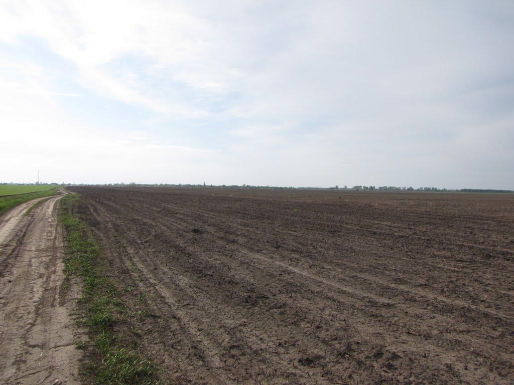 Яцьки з panoramio.com - Яцьки