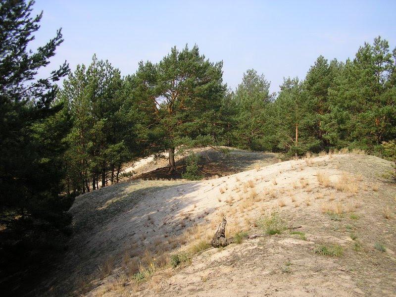 Слабин з panoramio.com - Слабин