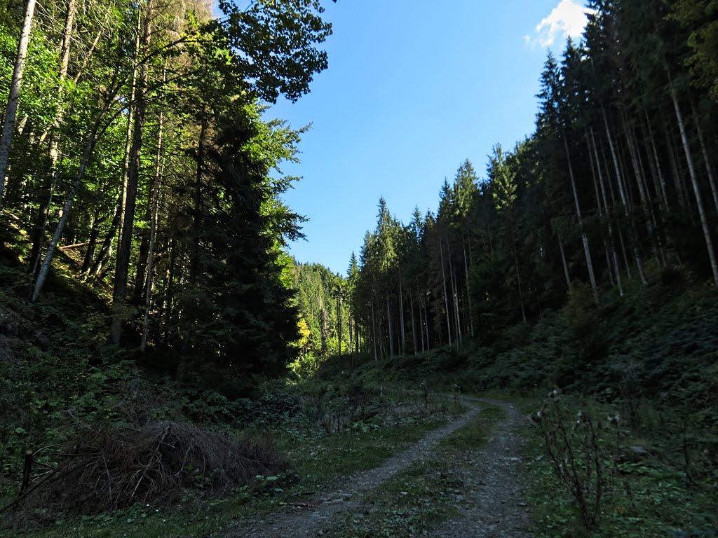 Нижня Рожанка з panoramio.com - Нижняя Рожанка