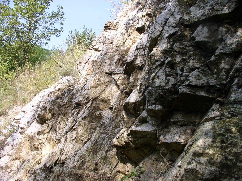 Мала Скельова з panoramio.com - Мала Скельова