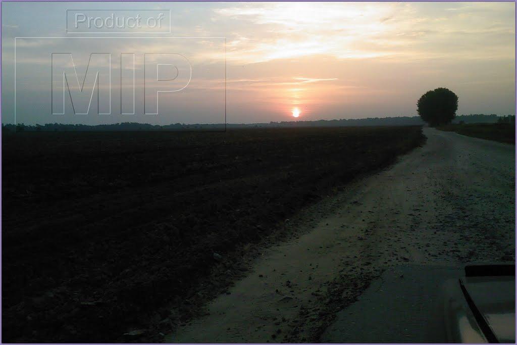 Тарасівка з panoramio.com - Тарасівка