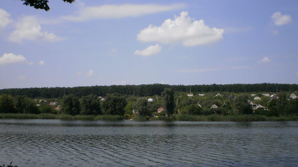 Липці з panoramio.com - Lyptsi