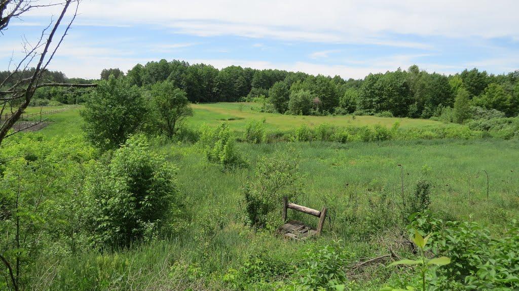 Софіївка з panoramio.com - Софиевка
