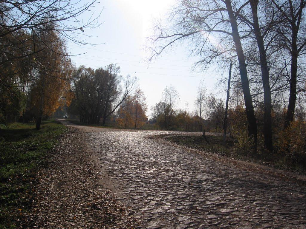 Велика Вісь з panoramio.com - Велика Вісь