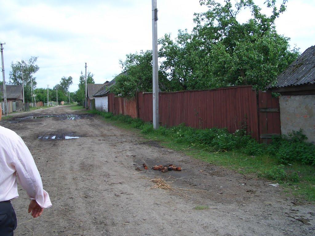 Алтинівка з panoramio.com - Алтинівка