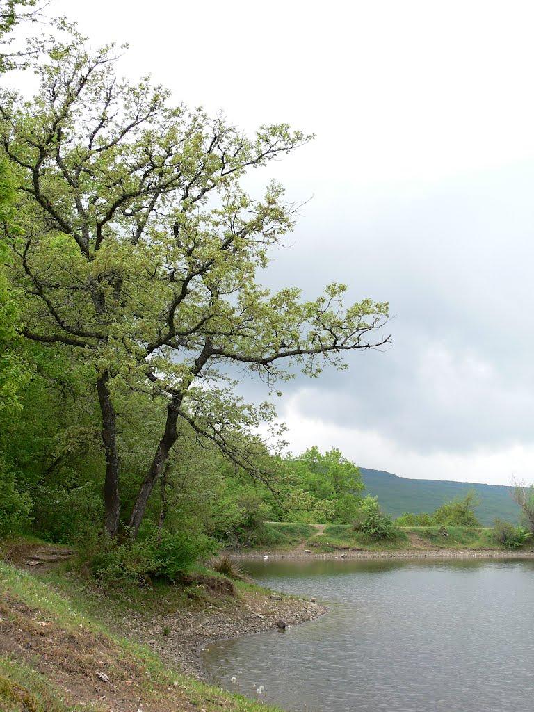 Синапне з panoramio.com - Синапное