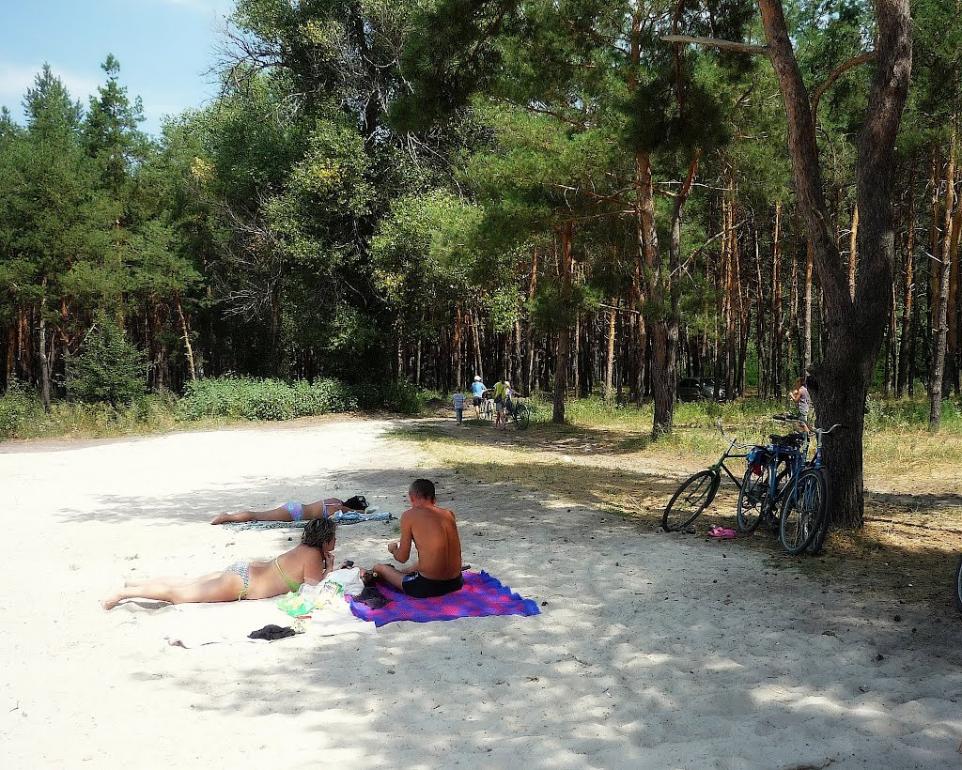 Петропавлівка з panoramio.com - Петропавлівка