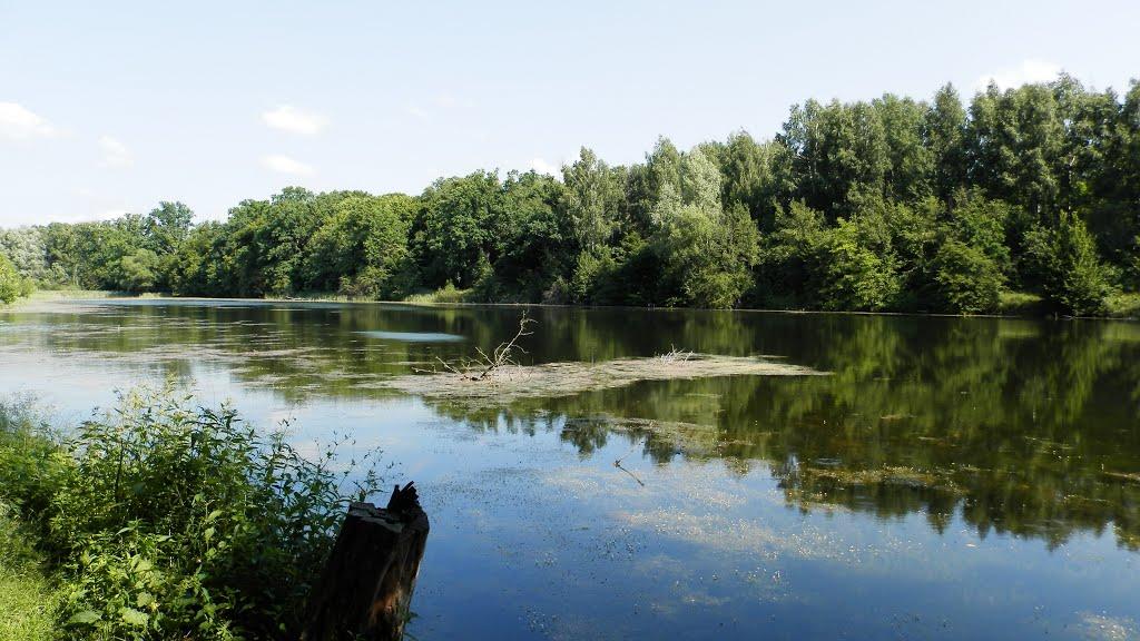 Галяве з panoramio.com - Галяве