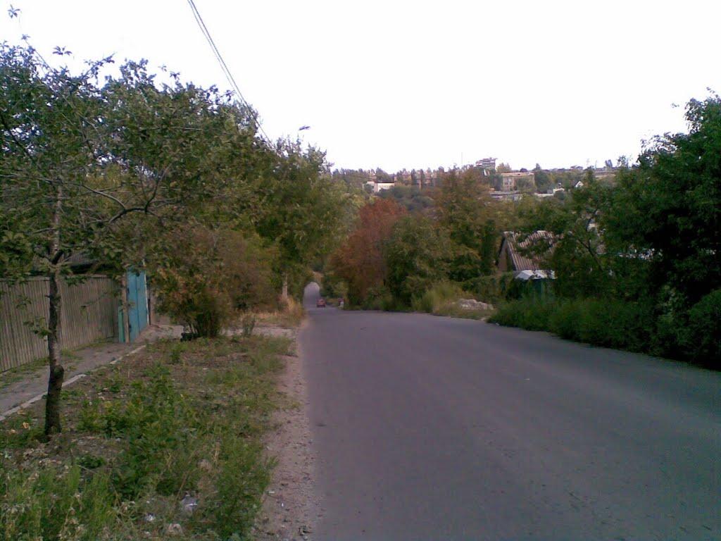 Іллічівське з panoramio.com - Ильичовское