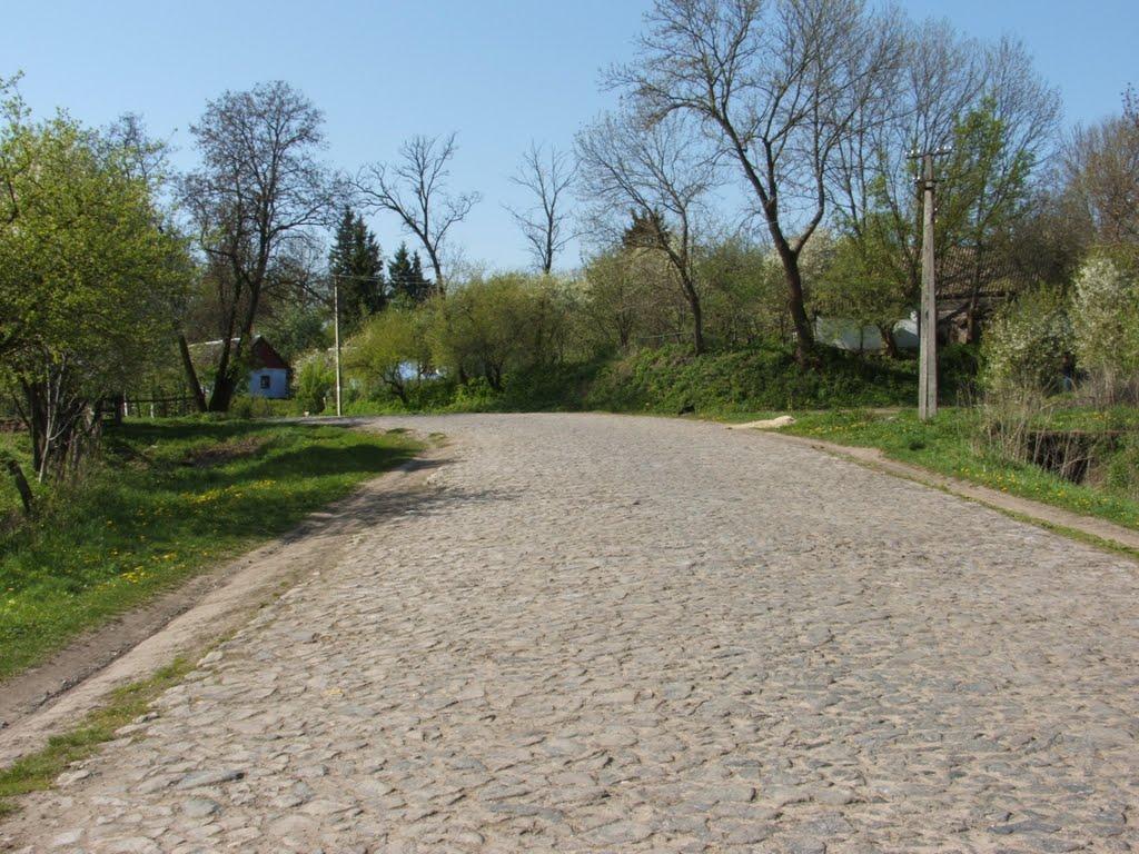 Катеринівка з panoramio.com - Катеринівка