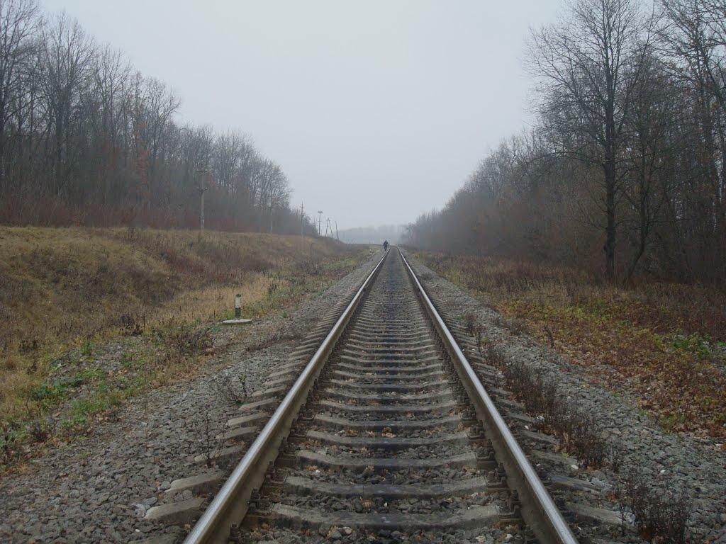 Лошківці з panoramio.com - Лошківці