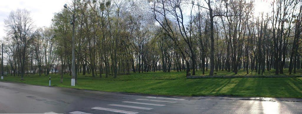 Засупоївка з panoramio.com - Засупоевка