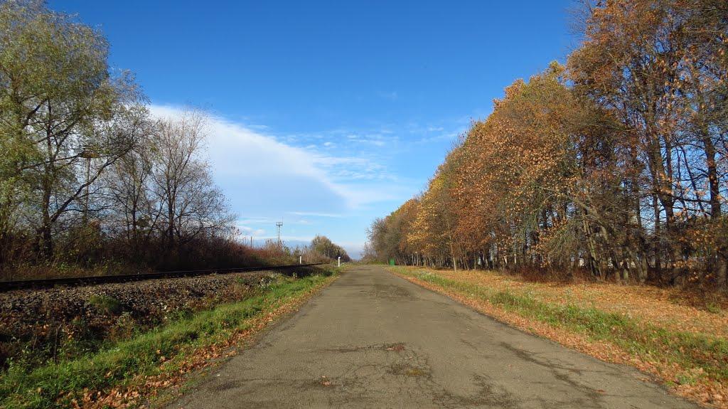 Коломия з panoramio.com - Коломыя