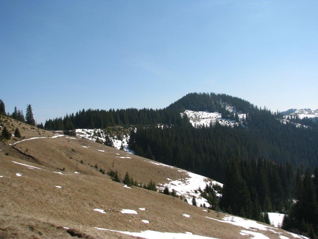 Топільче з panoramio.com - Топільче