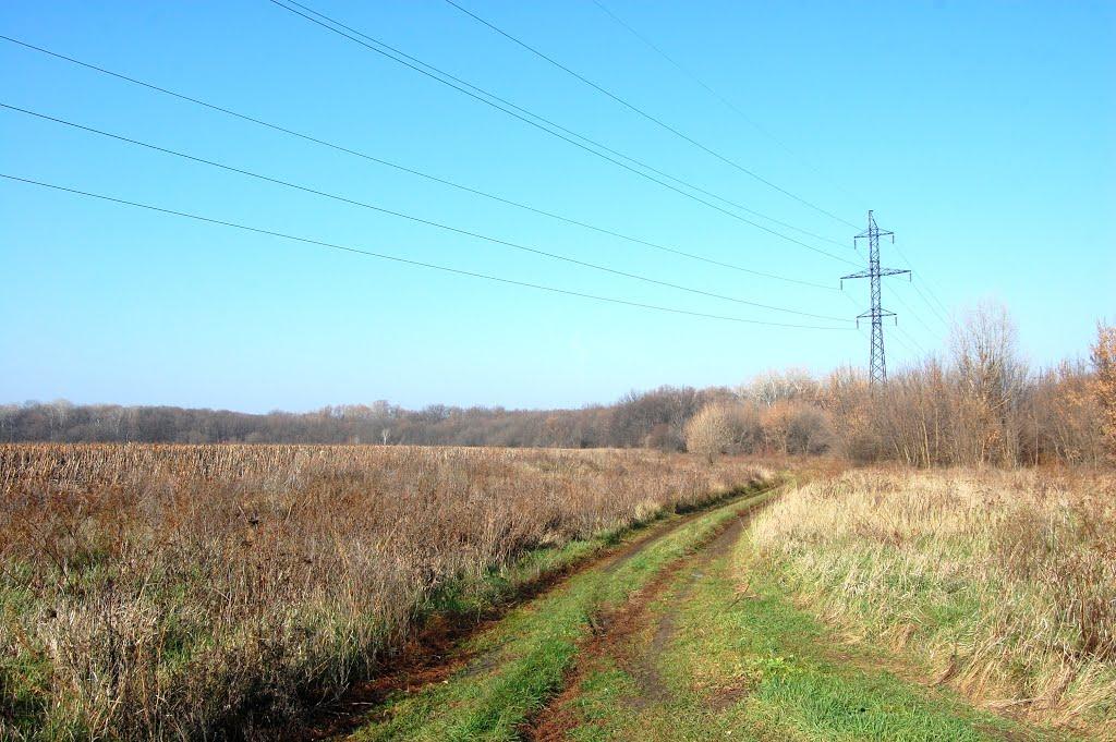 Платонівка з panoramio.com - Платоновка
