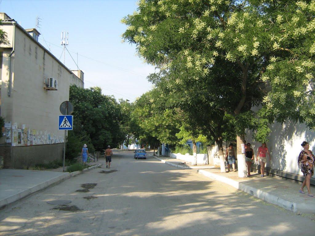 Чорноморське з panoramio.com - Чорноморское