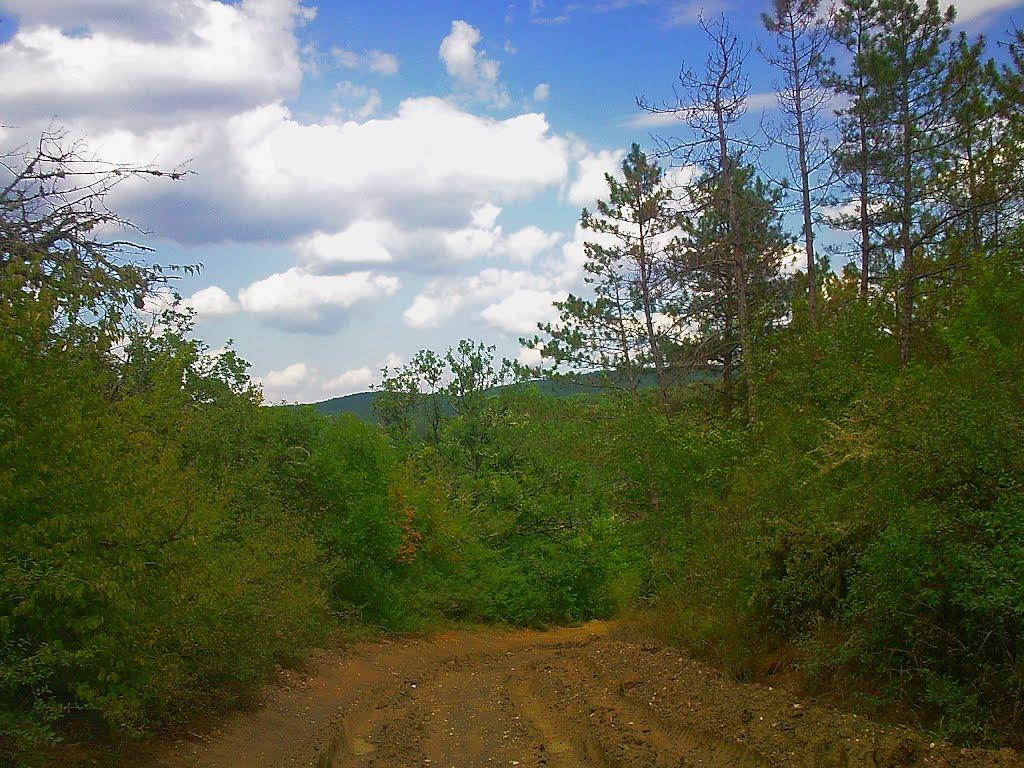 Щасливе з panoramio.com - Счастливое