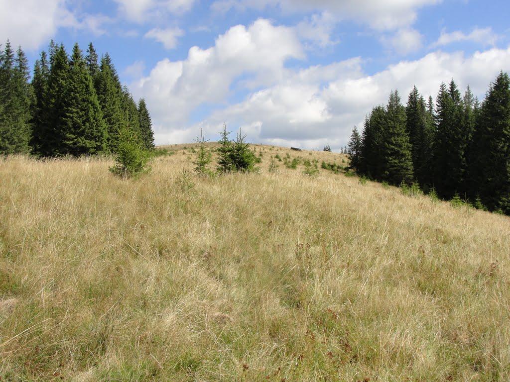 Сарата з panoramio.com - Сарата